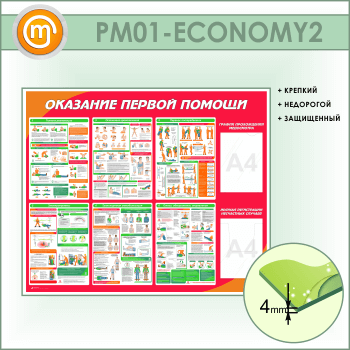 ����� ��������� ������ ������ � ������� � �������� ��������� (PM-01-ECONOMY2)