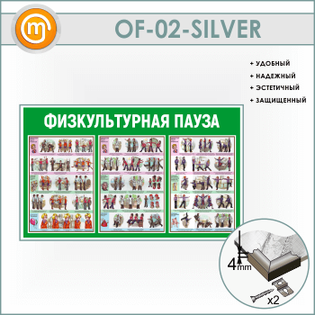 ����� �������������� ����� (OF-02-SILVER)