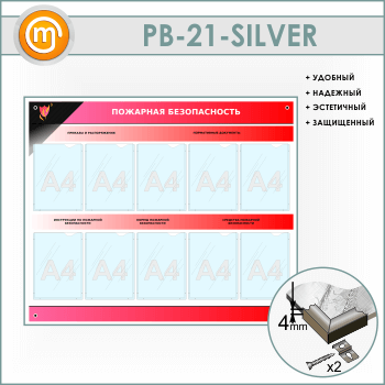 ����� ��������� ������������� � 10 ��������� (PB-21-SILVER)