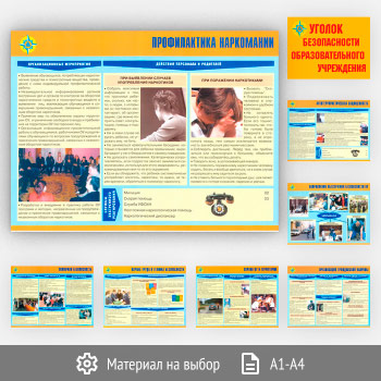 ������� ������� ������������ ���������������� ����������� (��-11, 8 ������)